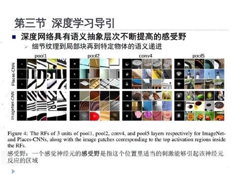 Detection 2021 的图像结果