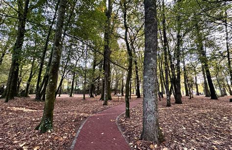 Parque Santa Inés reabre con renovados espacios y mayor seguridad e ...