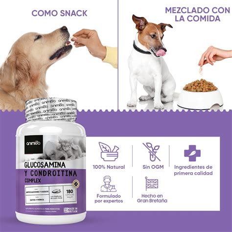 Glucosamina Para Perros - Definición, Beneficios Y Suplementos - Descripción, Hábitat, Dieta y Datos