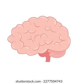 Image result for Prefrontal Cortex Brain Conductor Cartoon