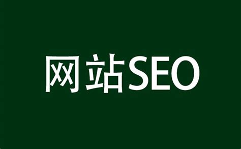如何查看网站seo（怎么分析一个网站seo）-8848SEO