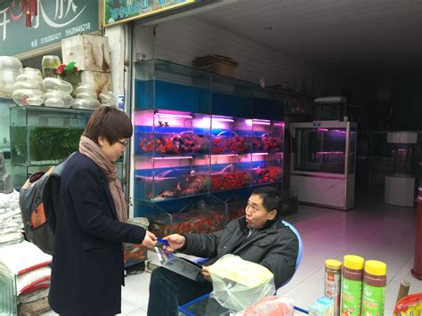荆州水族馆蟒纹铁甲武士 - 非洲象鼻鱼 - 广州观赏鱼批发市场