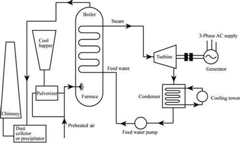 explain the schematic • diagram of circulation - Brainly.in