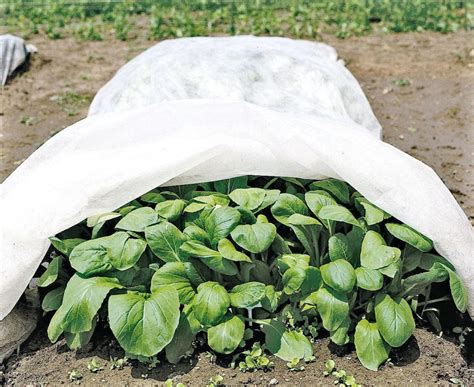 Image result for Cladding Insect Barrier