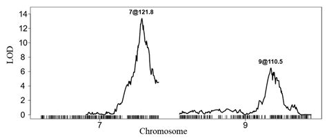 Major Quantitative Trait Loci Control Low-Temperature Germination in ...