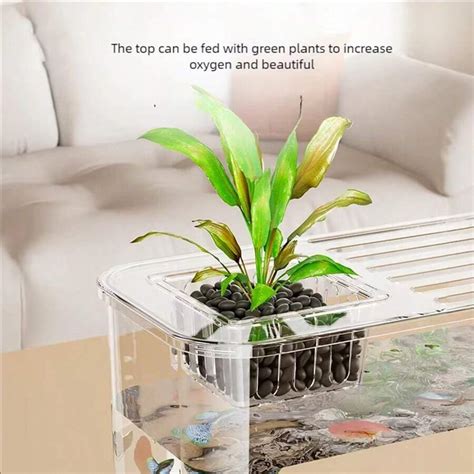 Transparent Acrylic Ornamental Fish Tank Breeding Box Living Room ...