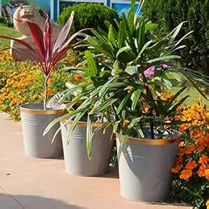 ecofynd 10 Inch Multipurpose Metal Planters Stand for Indoor Outdoor ...