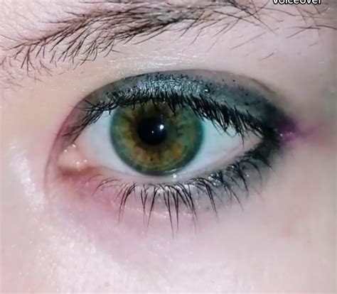 Image result for Houdini 18 Tutorials