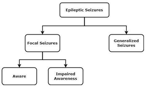 Seizure Types