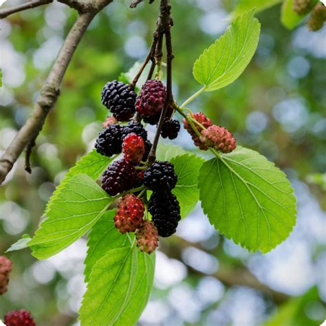 Image result for Data Structures and Abstractions with Java the Efficenty of Algorithms