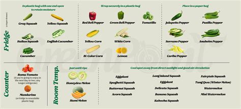 Keep your Fruits and Vegetables Fresh for Longer. – GreenPoint