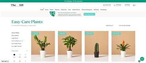 Website 的图像结果