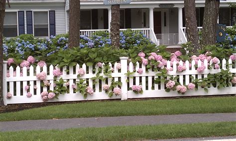 20 Small Picket Fence for Garden Ideas For This Year | SharonSable