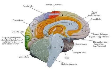 Image result for Cortex-R Vector Table