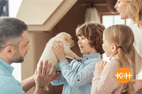 Dogs First Hour Home 的图像结果