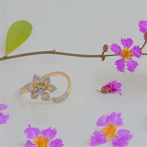 Rings – Magina