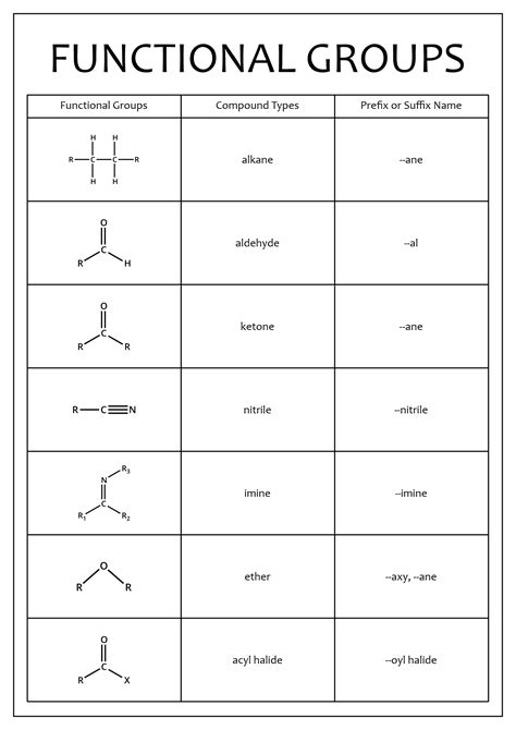 Identifying Functional Groups Practice Worksheet - Printable Calendars ...
