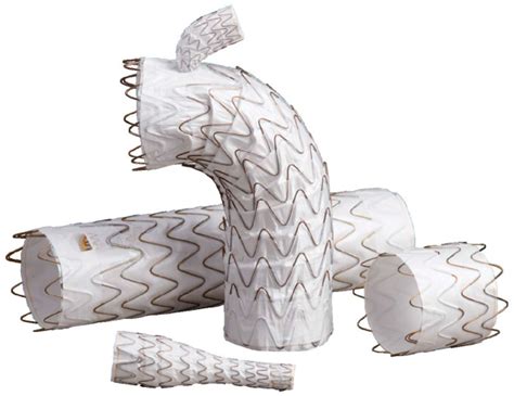 General Information and Applications of Najuta Fenestrated Stent Grafts ...