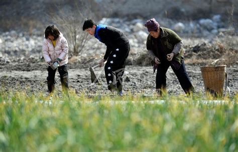 甘肃陇南：人勤春来早 田间农事忙-人民图片网