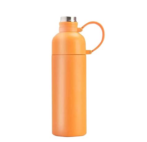 House of Quirk 500ml Eco-Friendly Stainless Steel Reusable Water Bottle ...