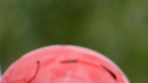 UGA football: Georgia announces its starting offensive line | Macon ...