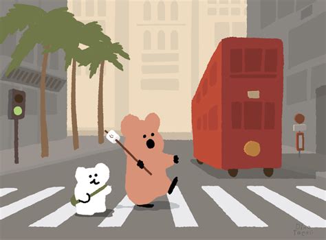 2023西澳遊記｜一起自拍吧! 短尾矮袋鼠Quokka in 羅特尼斯島 - Mobile01