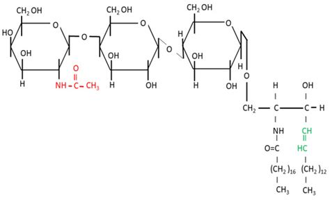 CIMB | Special Issue : Latest Review Papers in Molecular Biology 2024