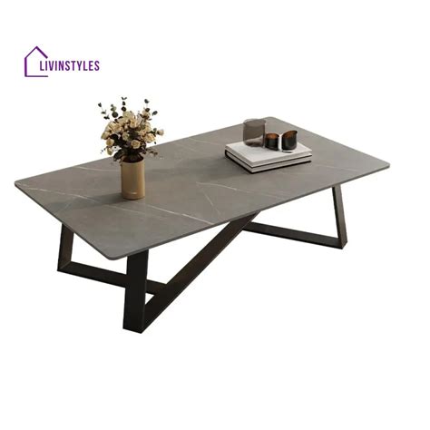 Gurnoor Stainless Steel Coffee Table for Living Room – LivIn Styles
