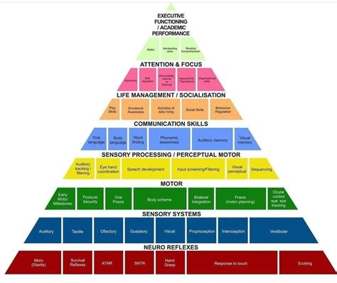 Social Class Pyramid 的图像结果
