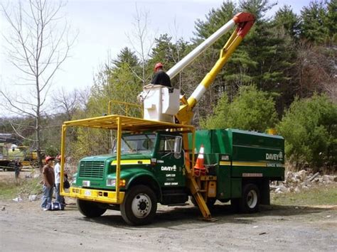 Davey Tree Service 的图像结果