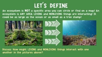 Ecosystem Lesson Plan 的图像结果