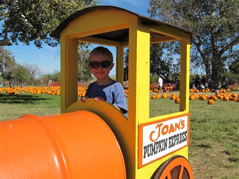 Joan's Farm & Pumpkin Patch - JeremyPerson.com