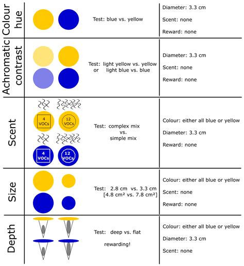 Floral Trait Preferences of Three Common wild Bee Species