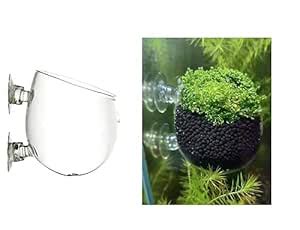 MR TRADERS Aquarium Decoration Fish Tank Mini Glass Plant Pot Fishtank ...