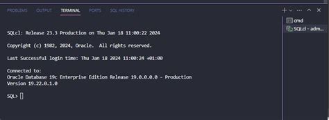 How to Install and Code in Oracle SQL 的图像结果
