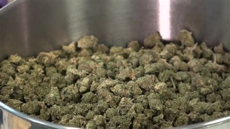 Marijuana on the ballot, 9 states to vote on cannabis in November