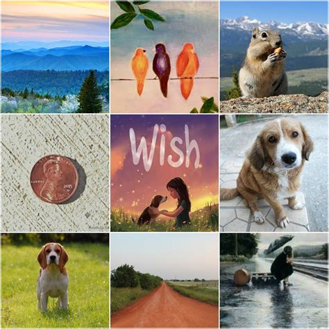 I Turn the Pages: Wish by Barbara O'Connor | Blog Tour & Moodboard Monday