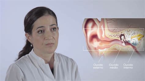 Los líquidos del oído interno: la perilinfa y la endolinfa | GAES