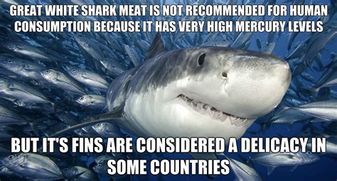 Image result for Appropriate Random Facts