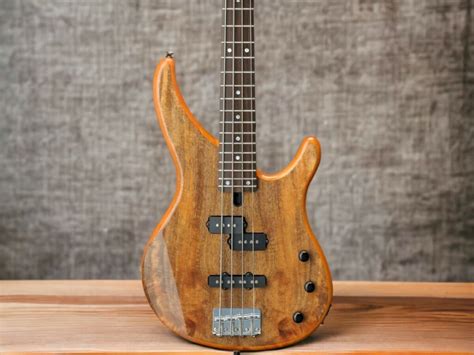 Image result for Bass Use a Computer