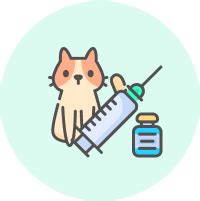 Veterinary Health Department | Dashboard