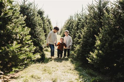 Tree Farm Christmas Minis, Lynden, Ontario, Stoney Creek, 4 November ...