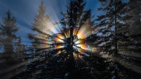 Radiation Color 的图像结果