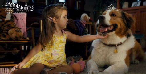 看《一条狗的使命2》哭成汪，人宠关系的电影为何引起观众共鸣？ - 360娱乐，你开心就好