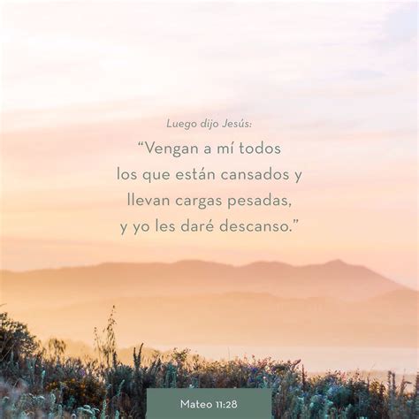 S. Mateo 11:28 Venid a mí todos los que estáis trabajados y cargados, y ...