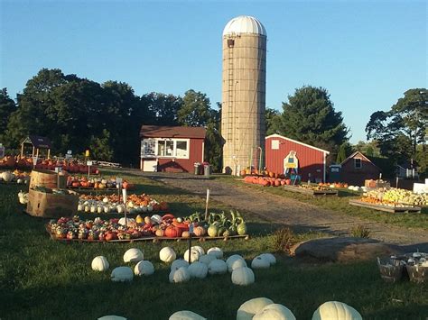 HELLERICK'S FAMILY FARM (2025) All You Need to Know BEFORE You Go (with ...