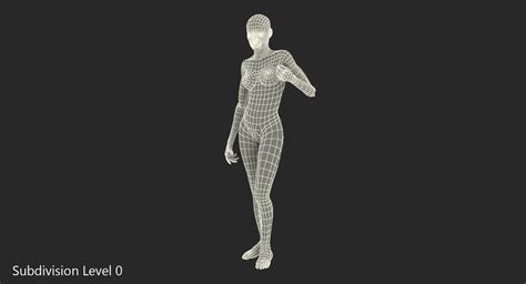 3D Female Human Muscles Anatomy model | 3D Molier International