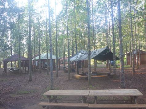 KAORIS CAMP (Yate) - Campground Reviews & Photos - Tripadvisor