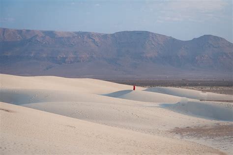 TOUR SOCOTRA (2026) All You Need to Know BEFORE You Go (with Photos ...