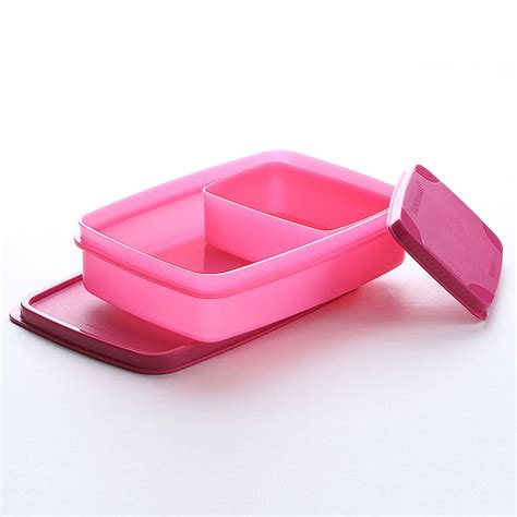 Compact Lunch Box (Small) – Signoraware
